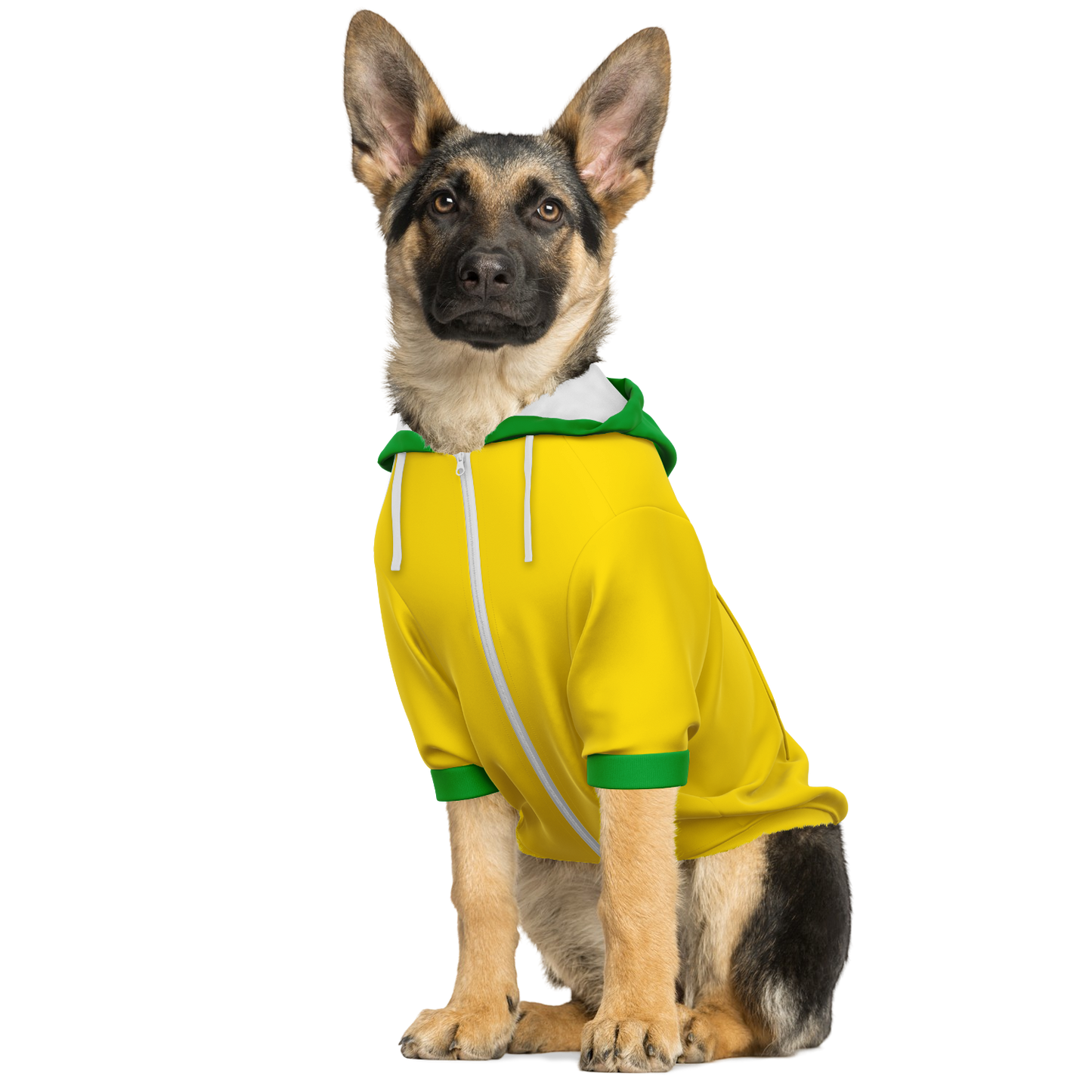 Senegal Dog Hoodie