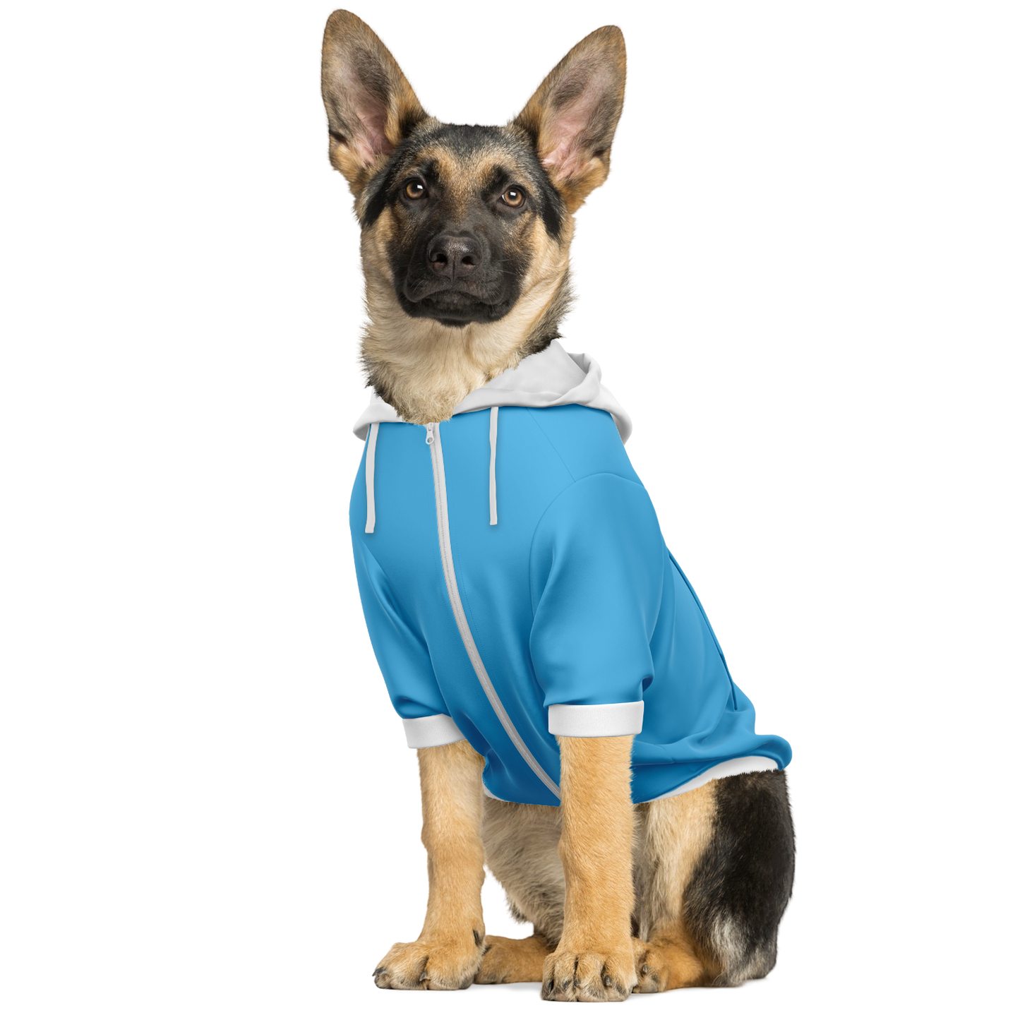 Uruguay Dog Hoodie