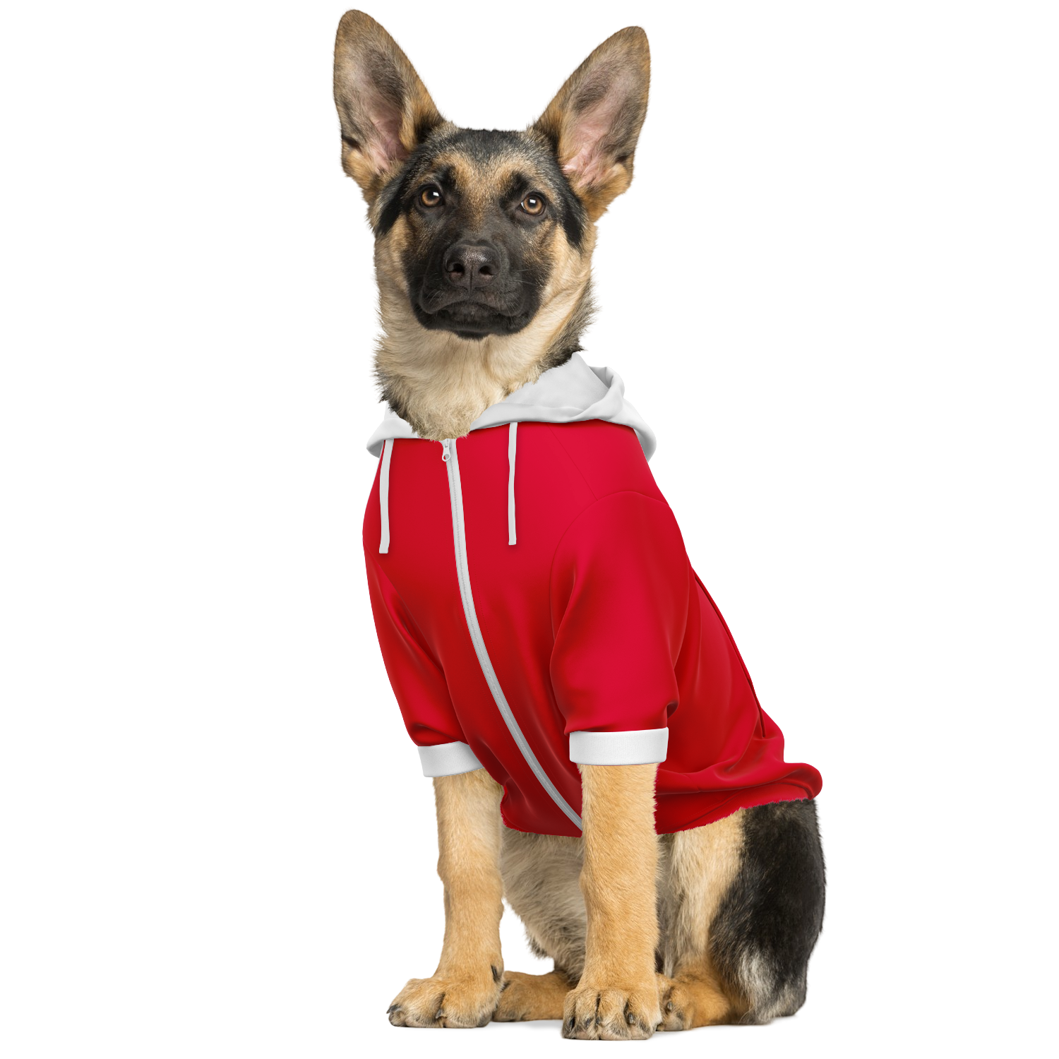 FC Bayern Munich Dog Hoodie - Doggy Drip Shop