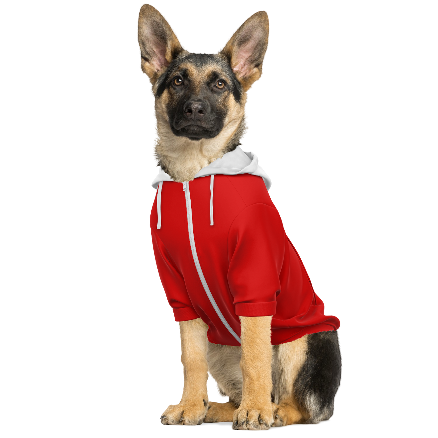 Costa Rica Dog Hoodie