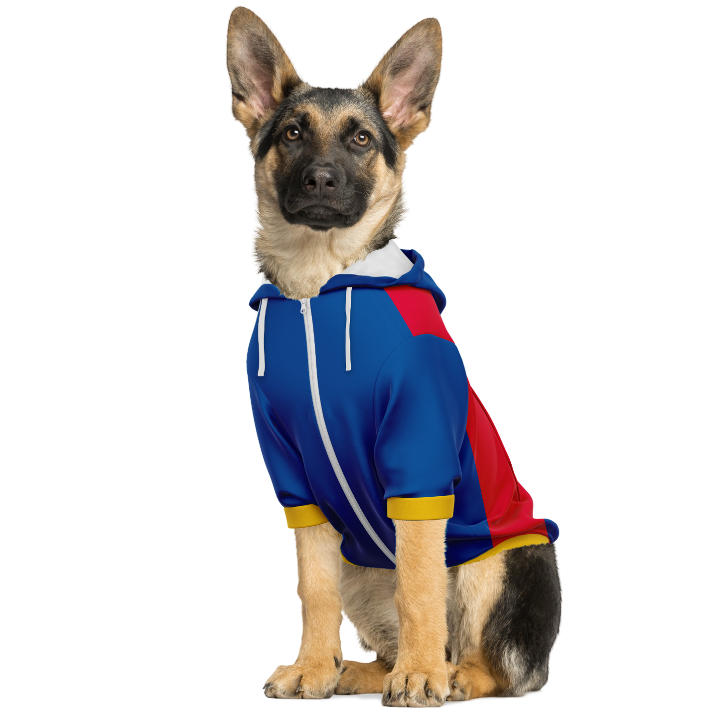 FC Barcelona Dog Hoodie