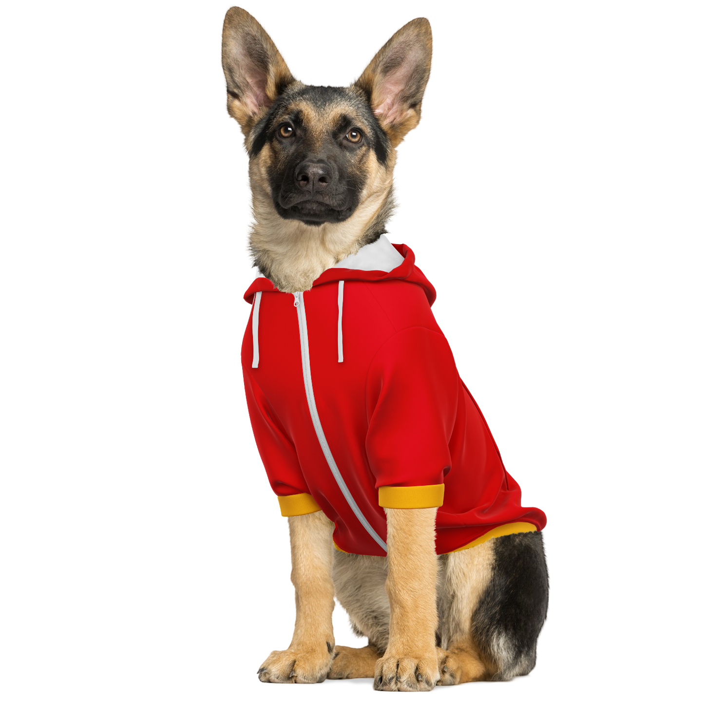 Spain Dog Hoodie