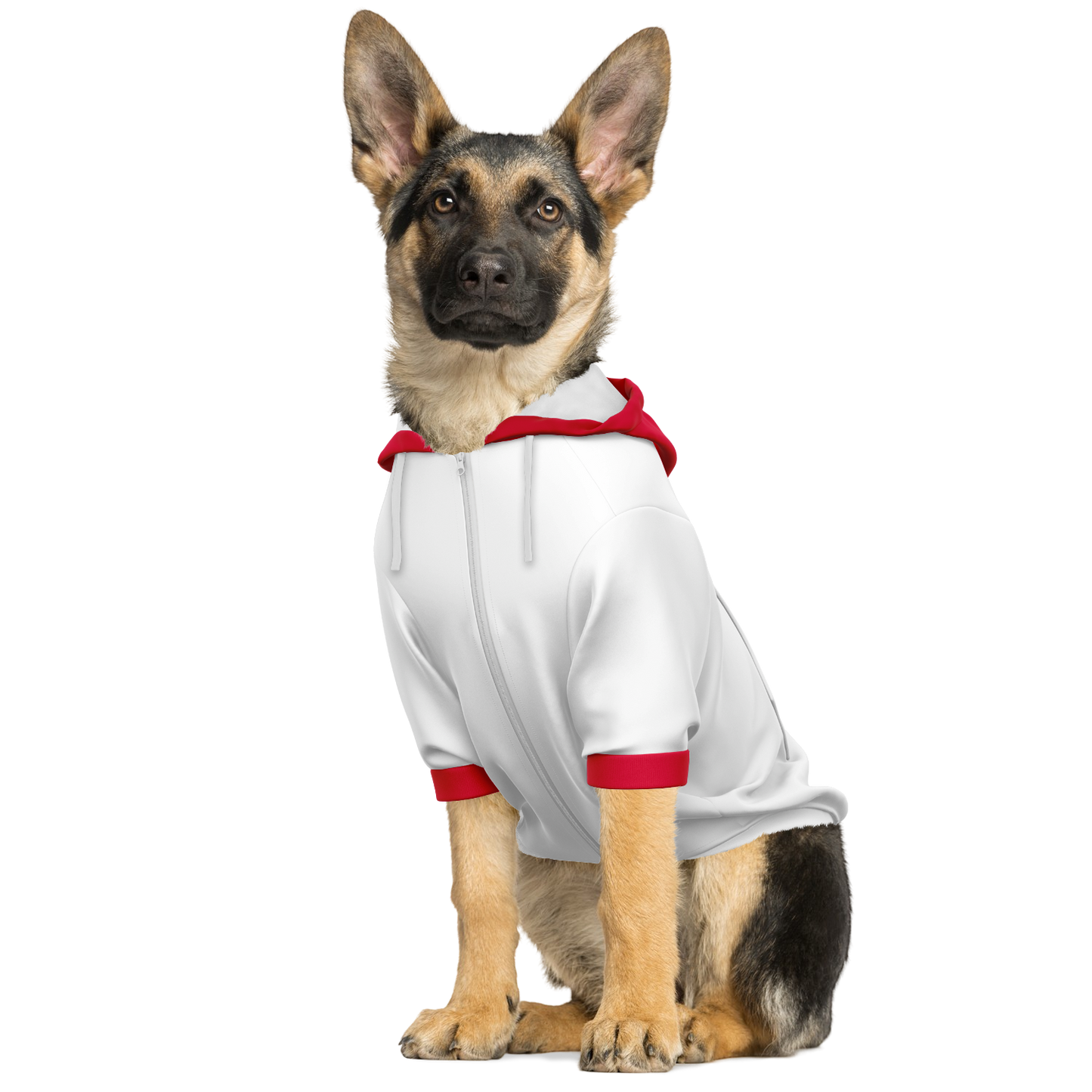 Poland Dog Hoodie