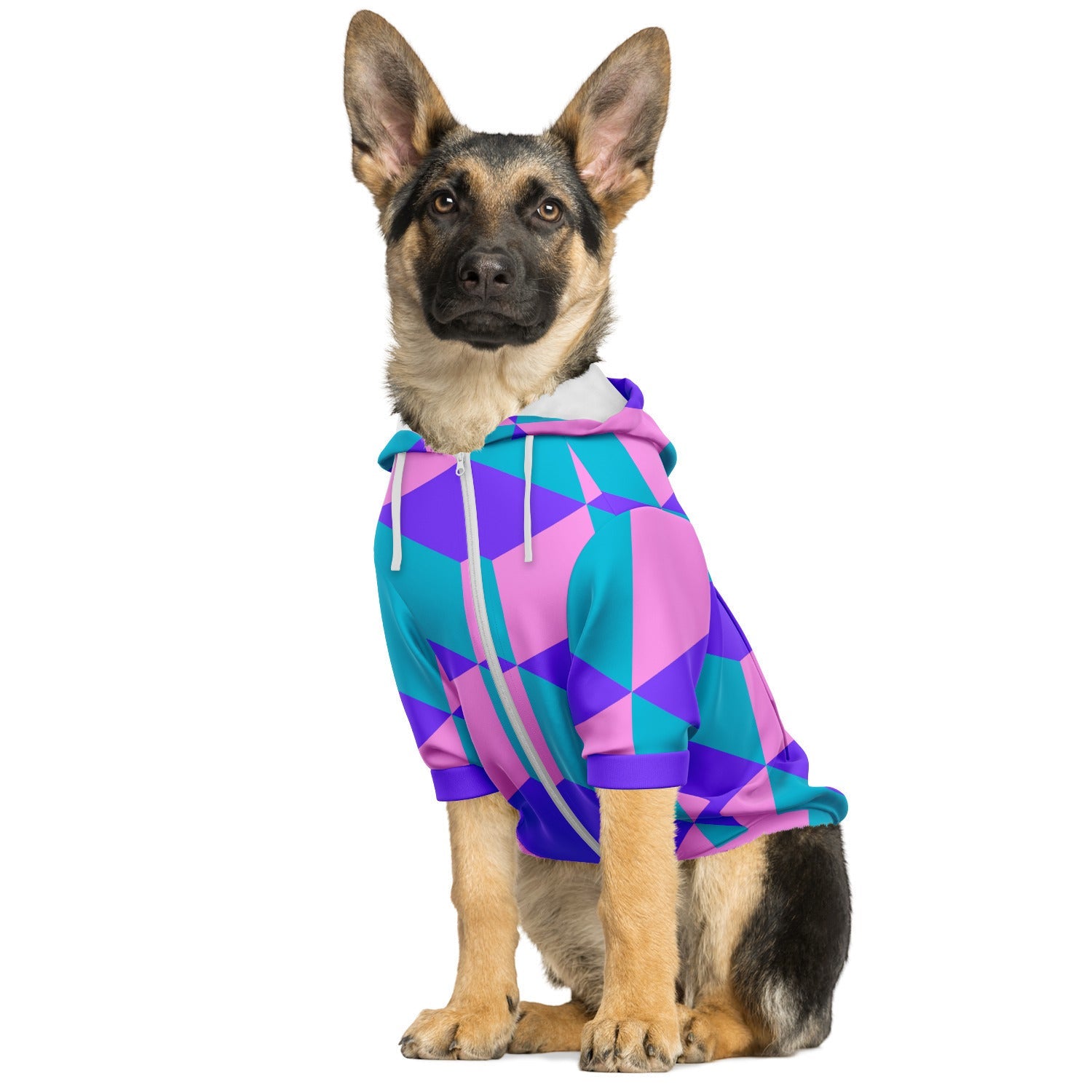 Cubes - Dog Hoodie - Doggy Drip Shop