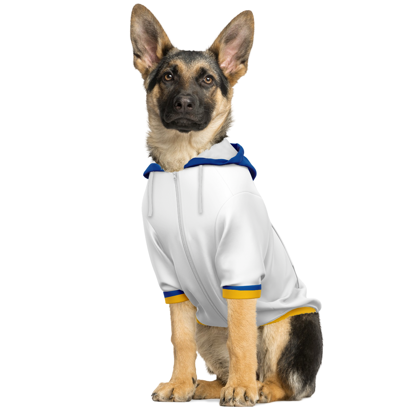 Real Madrid CF Dog Hoodie - Doggy Drip Shop