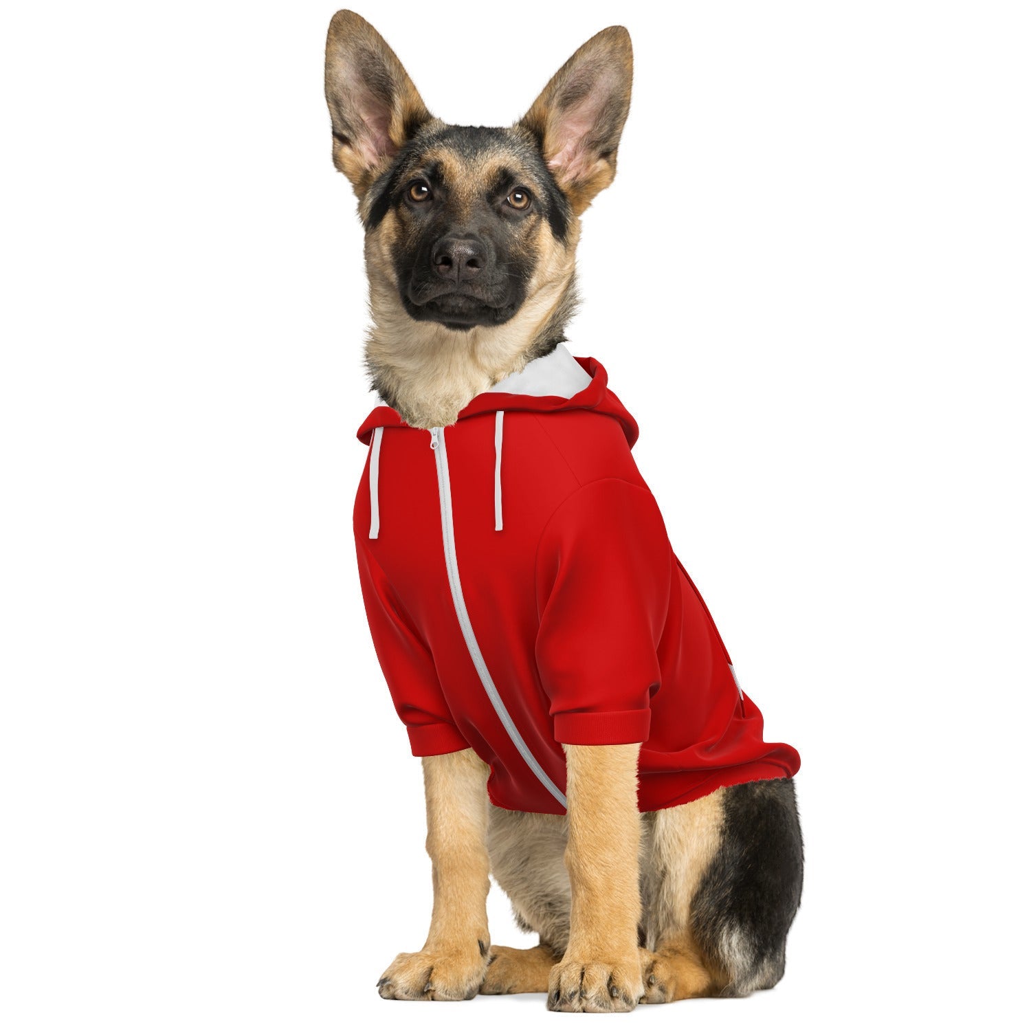 Excuse My French - Dog Hoodie - Doggy Drip Shop