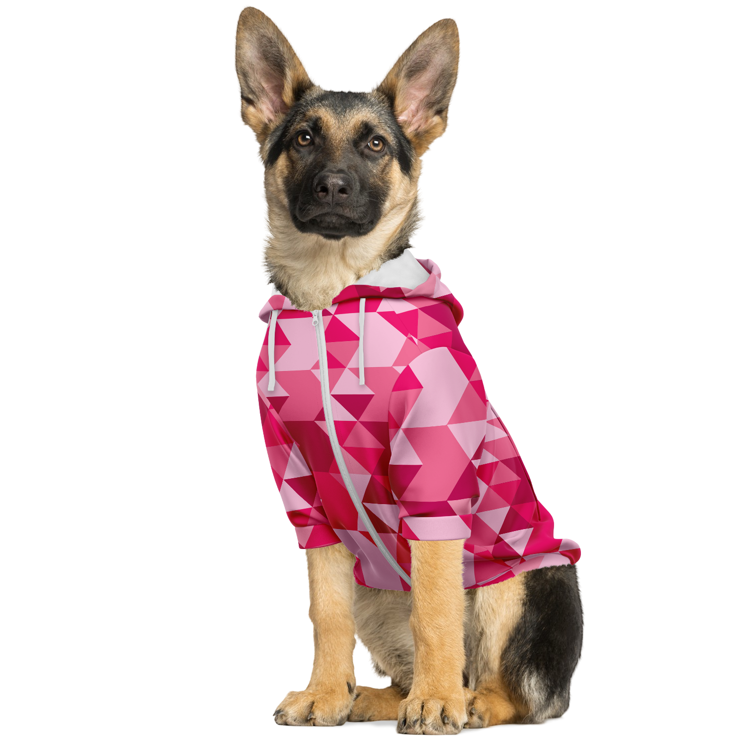 Pink Abstract - Dog Hoodie - Doggy Drip Shop