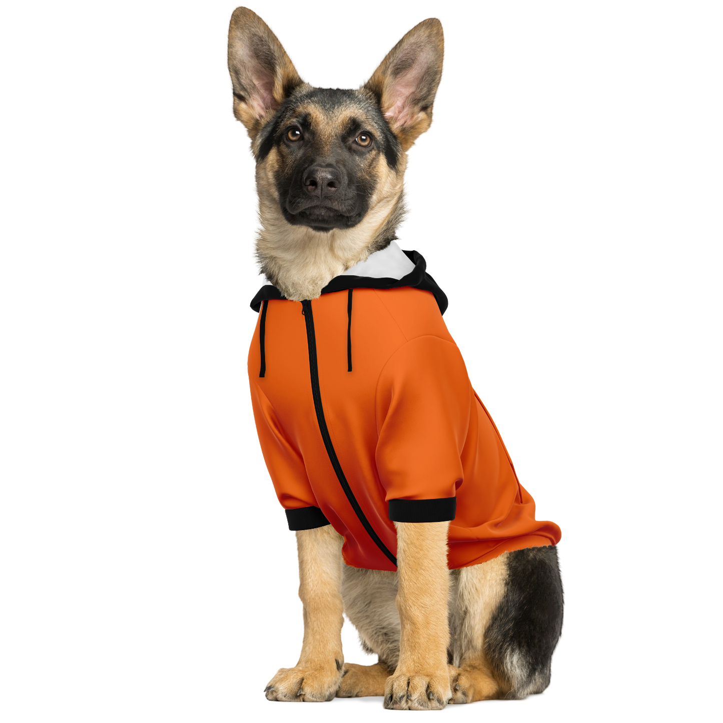 Netherlands Dog Hoodie