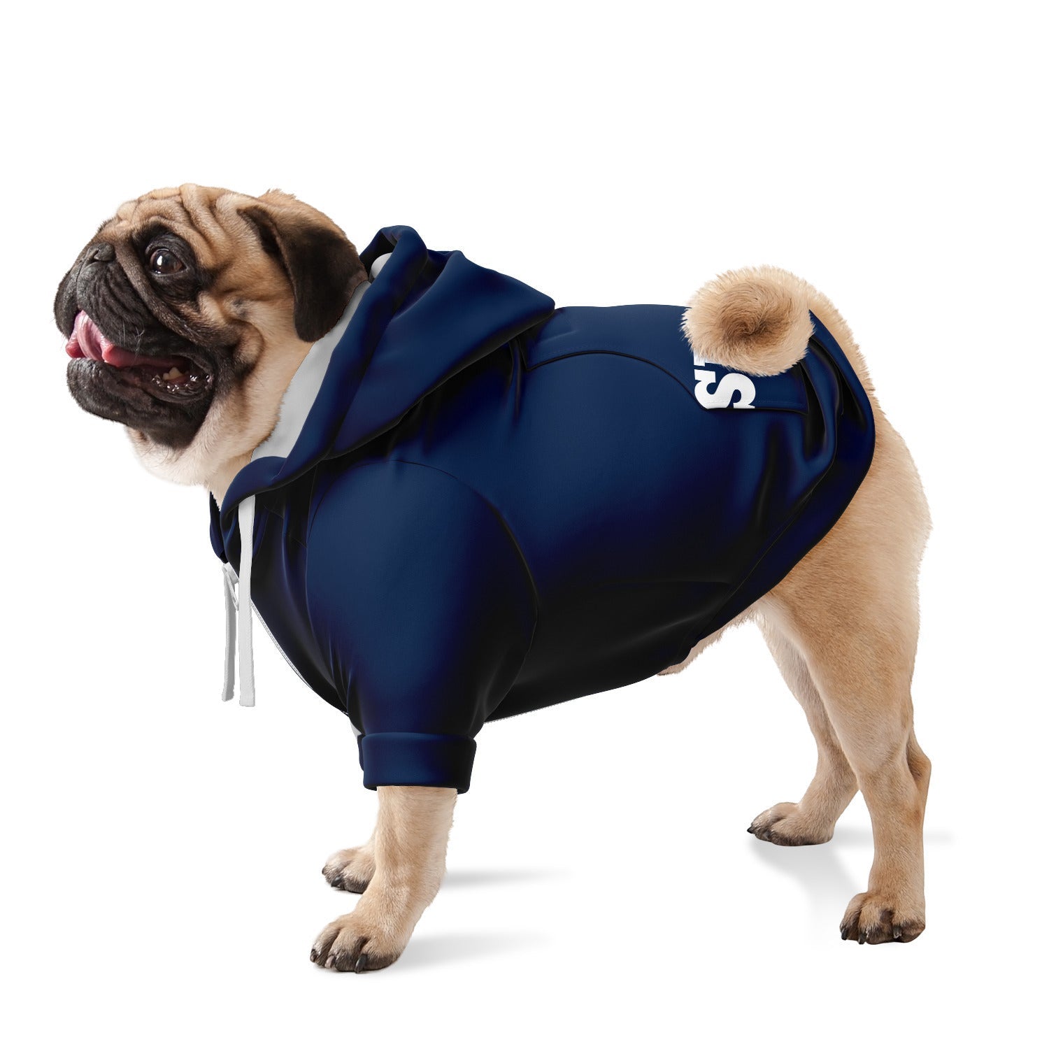 Dog clearance hoodie security