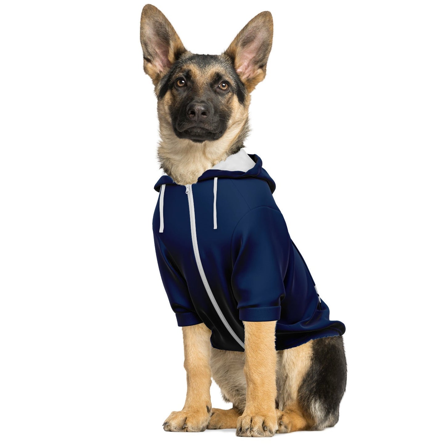 Security - Dog Hoodie - Doggy Drip Shop