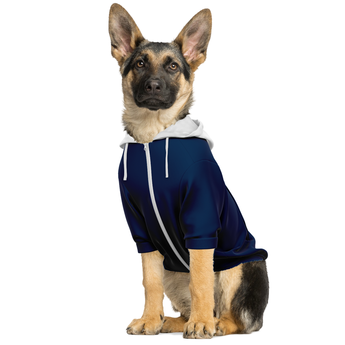 France Dog Hoodie