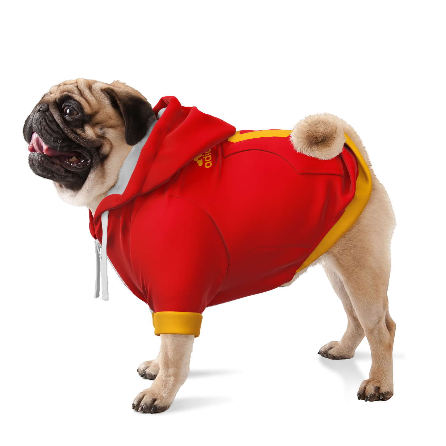 Spain Dog Hoodie