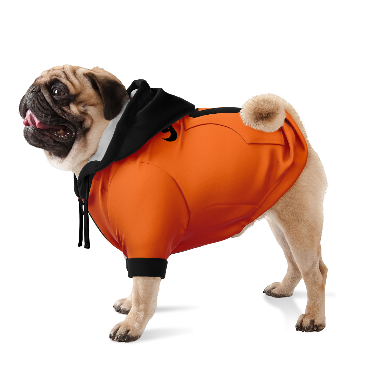 Netherlands Dog Hoodie