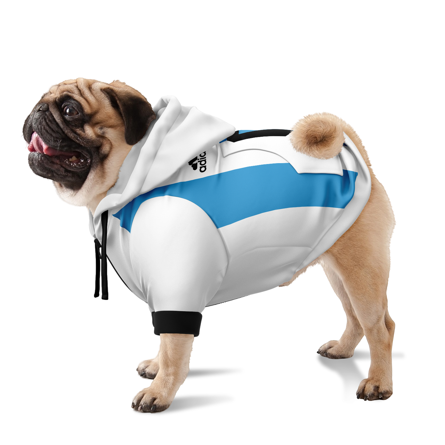 Argentina Dog Hoodie