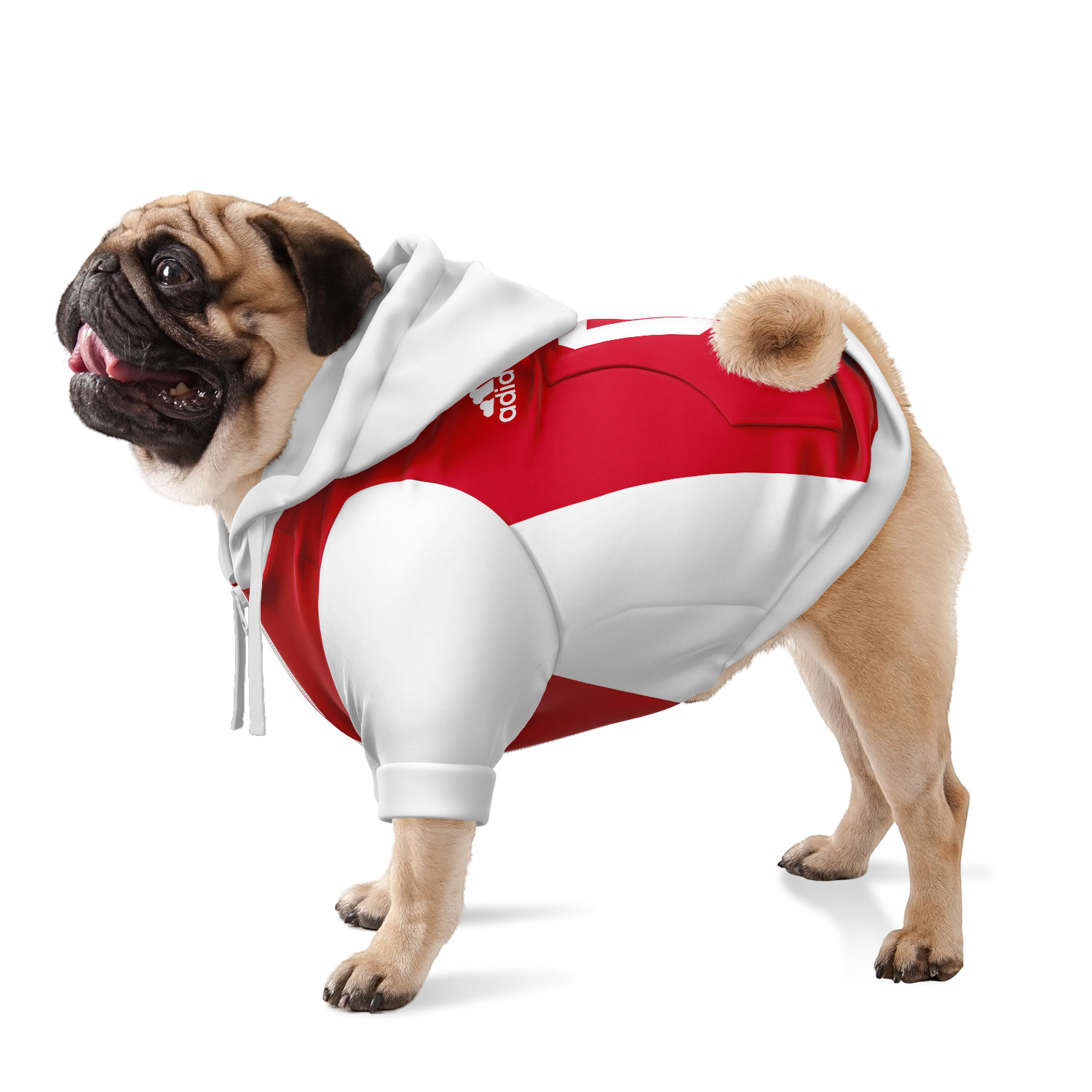 Ajax Dog Hoodie - Doggy Drip Shop