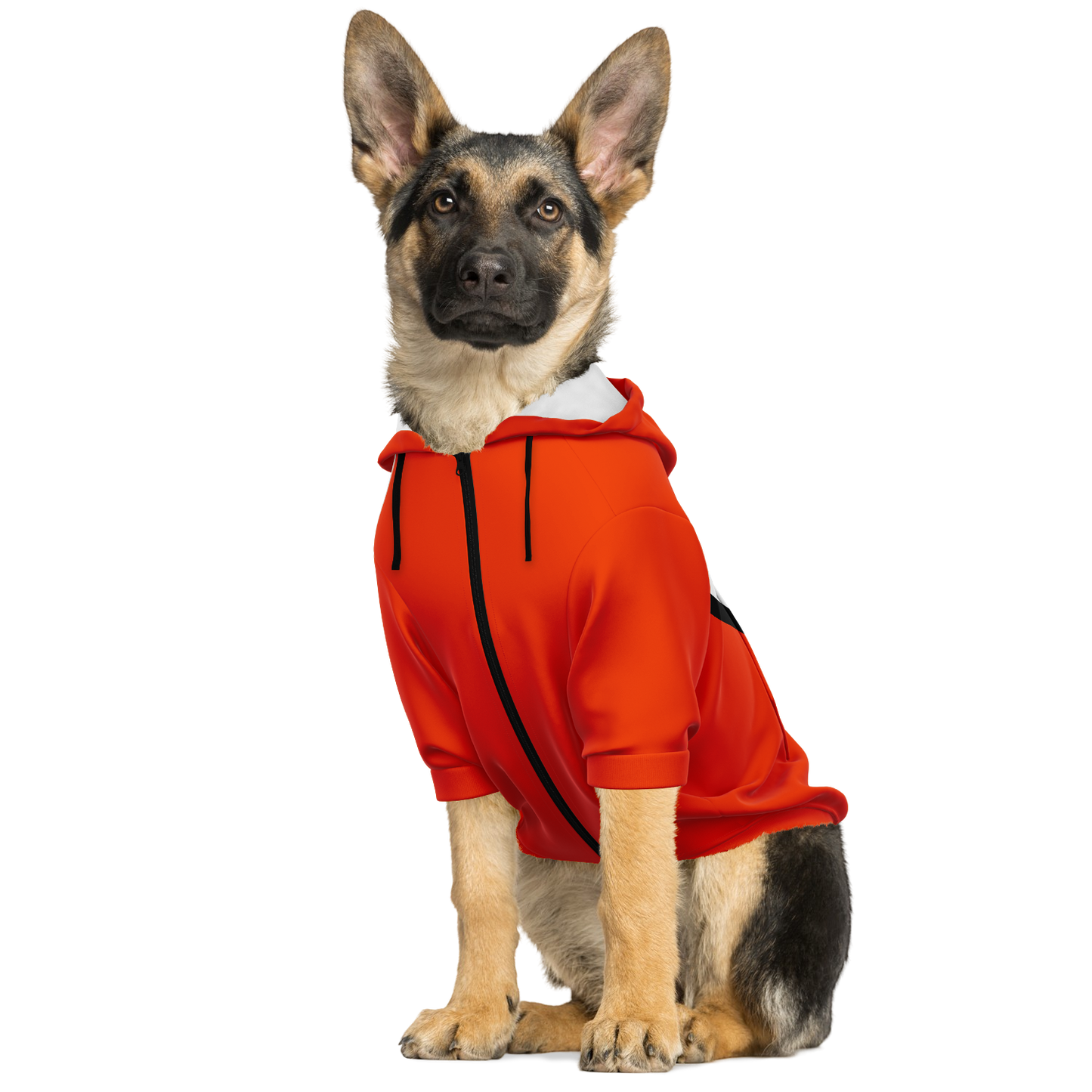Dragon Ball - Dog Hoodie