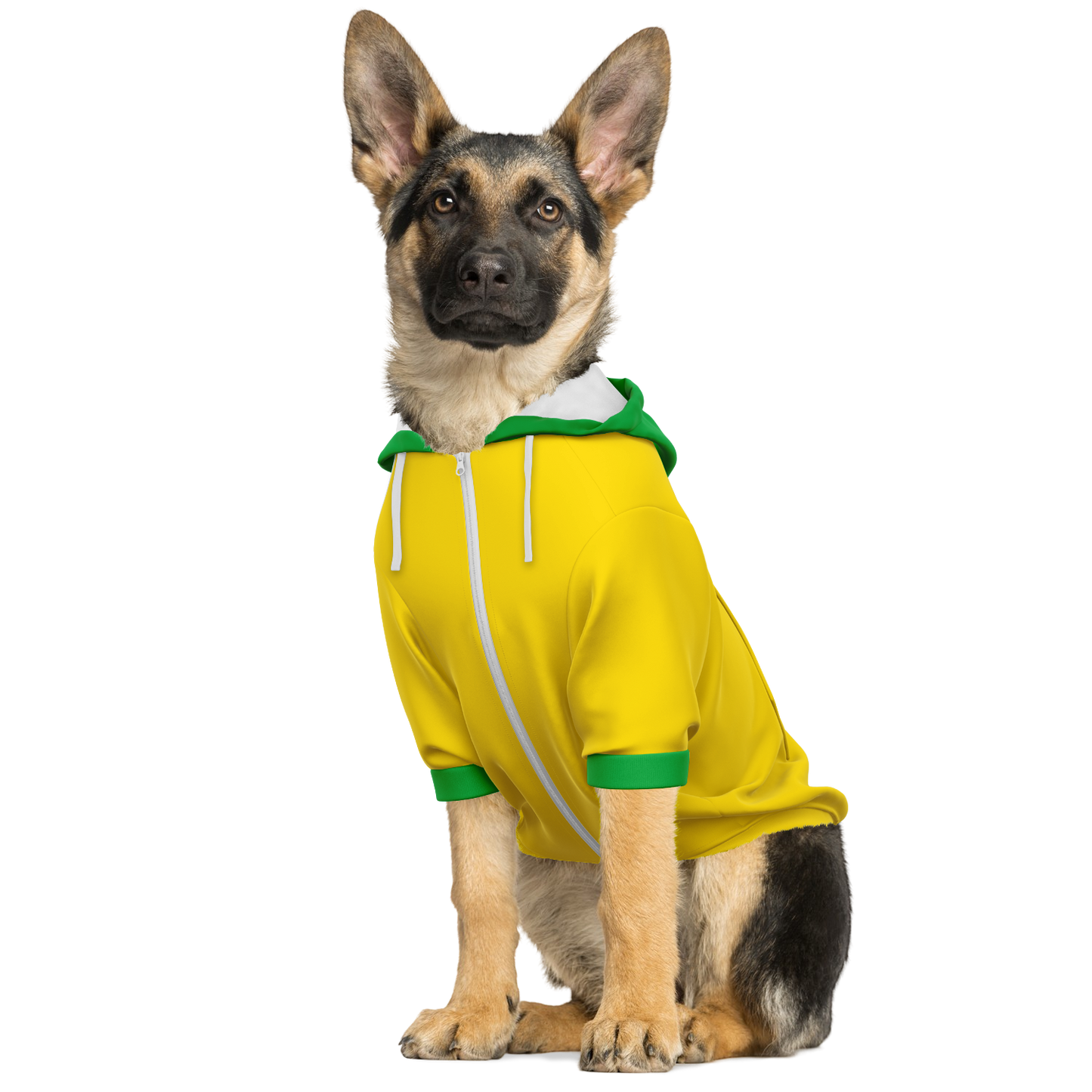 Brazil Dog Hoodie